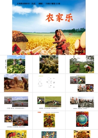 湘美版小学美术三年级下册-《农家乐》参考课件.ppt