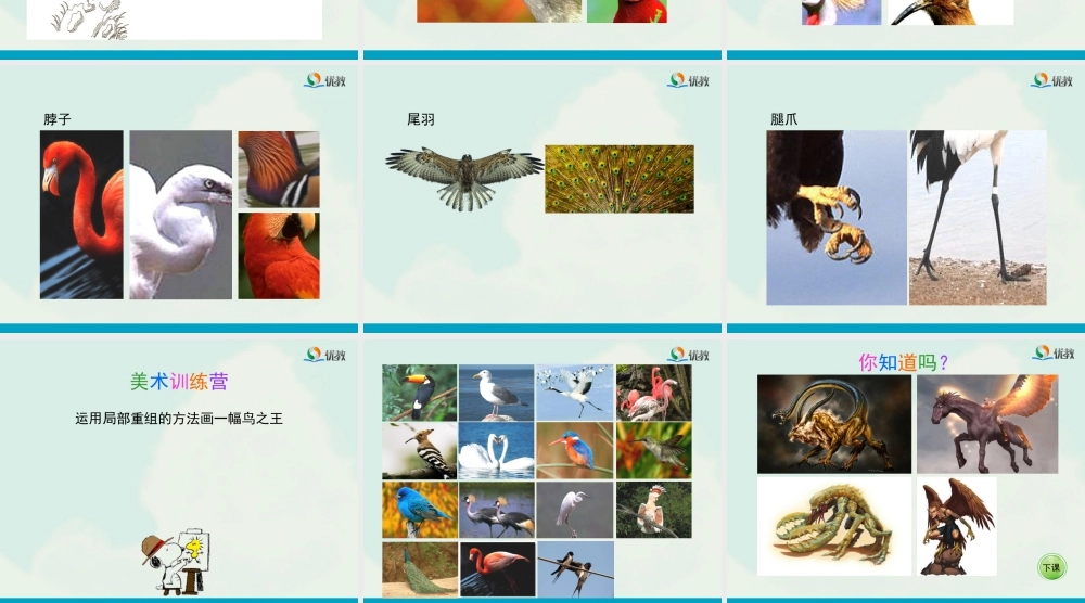 湘美版四年级美术下册-《变形的魅力》（活动三）教学课件.ppt