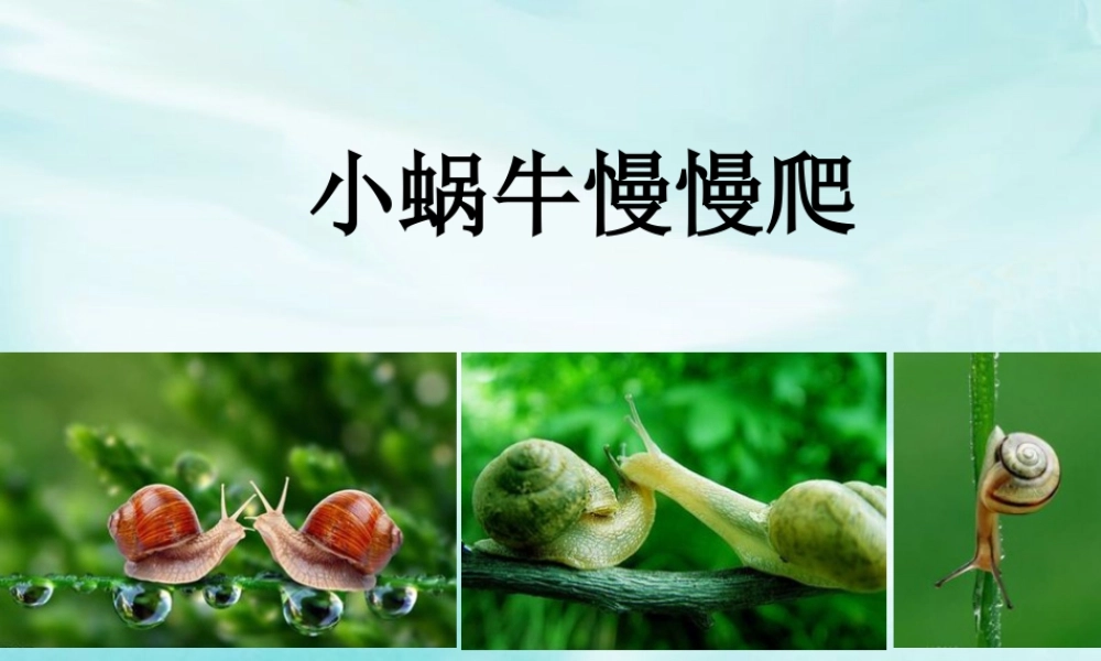 湘美版小学美术二下-《小蜗牛慢慢爬》参考课件.ppt