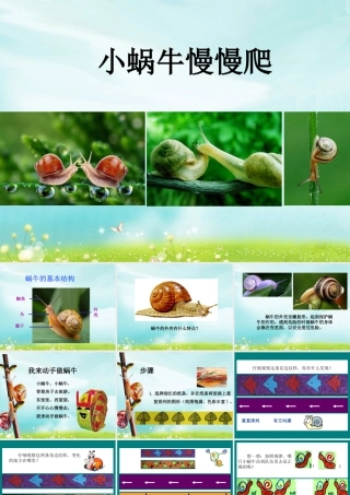 湘美版小学美术二下-《小蜗牛慢慢爬》参考课件.ppt