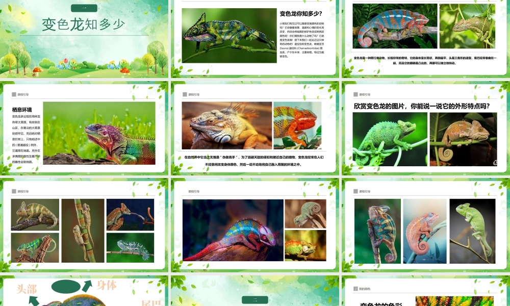 湘美版小学美术一年级上册-四3.小小变色龙.pptx