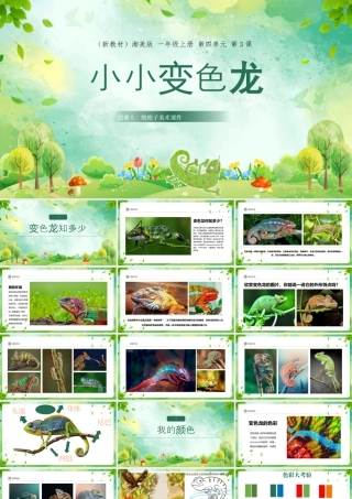 湘美版小学美术一年级上册-四3.小小变色龙.pptx