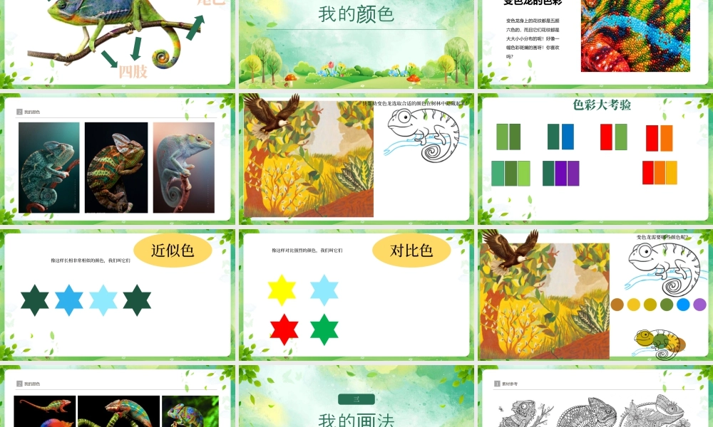 4.3 小小变色龙   课件(共31张PPT)湘美版一年级美术上册.pptx