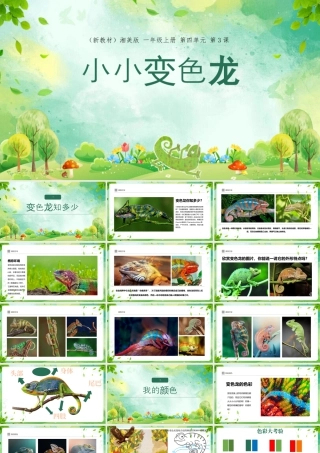 4.3 小小变色龙   课件(共31张PPT)湘美版一年级美术上册.pptx