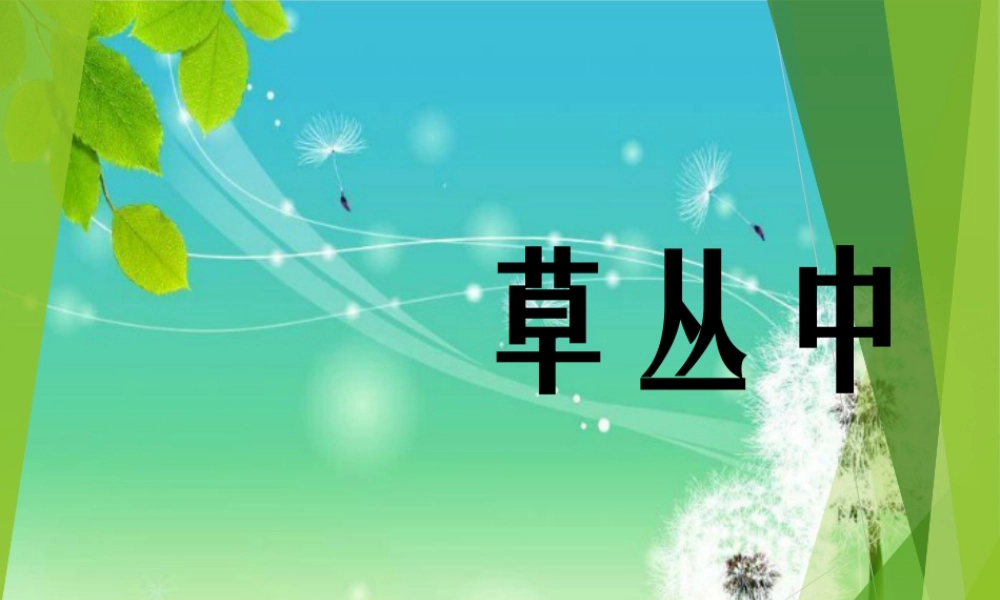 湘美版四年级美术上册-《草丛中》精品课件.ppt