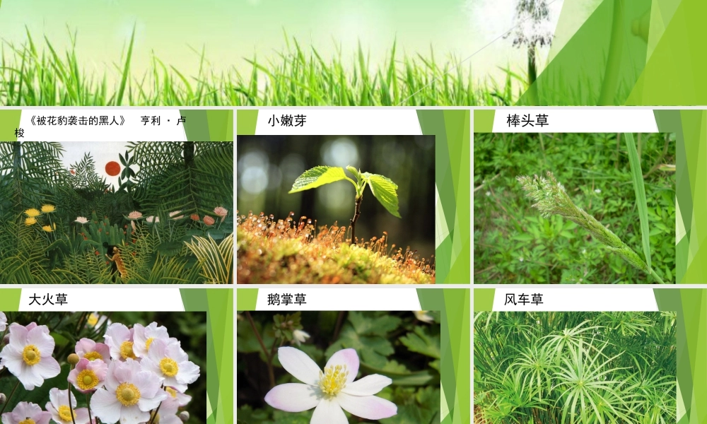 湘美版四年级美术上册-《草丛中》精品课件.ppt