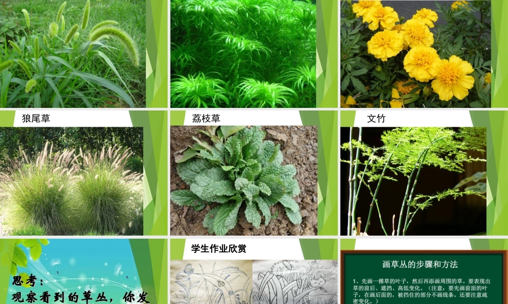 湘美版四年级美术上册-《草丛中》精品课件.ppt