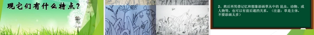 湘美版四年级美术上册-《草丛中》精品课件.ppt