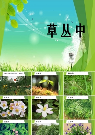 湘美版四年级美术上册-《草丛中》精品课件.ppt