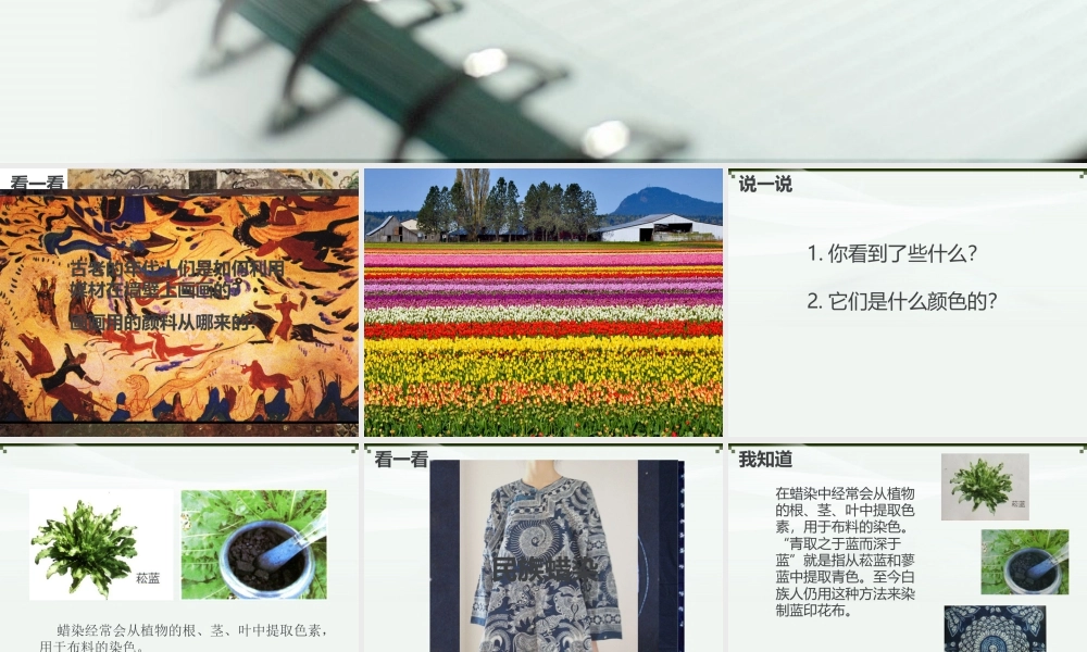 湘美版小学美术三年级下册-《自制颜料》参考课件.ppt