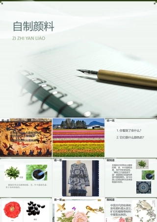 湘美版小学美术三年级下册-《自制颜料》参考课件.ppt