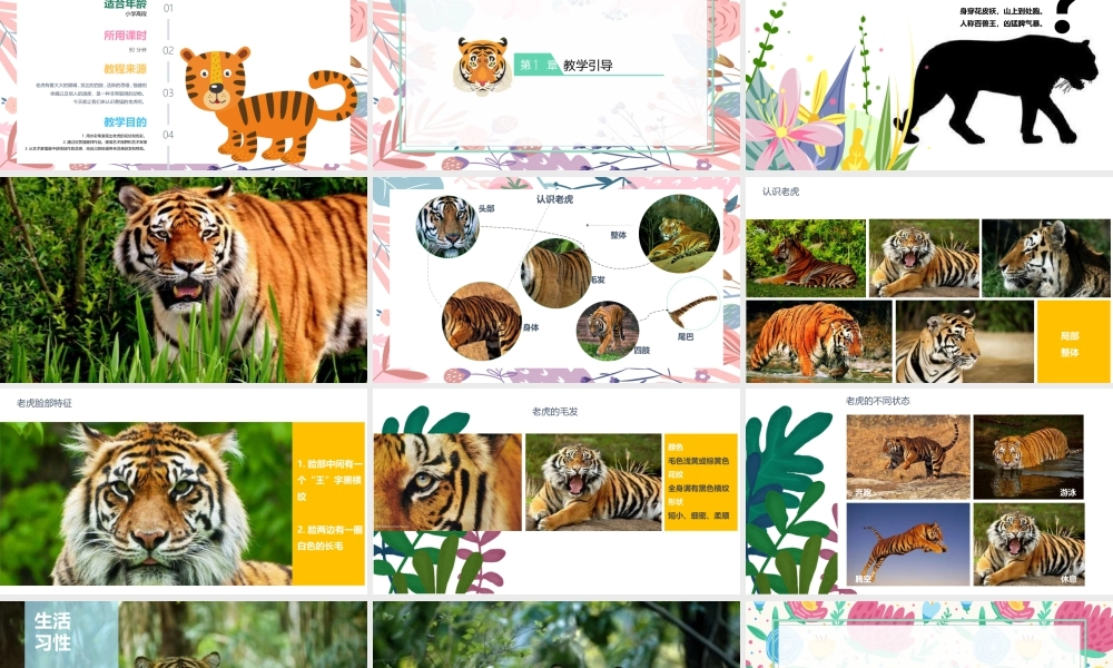 湘美版小学美术六年级下册-《花丛中的老虎》创意课件.pptx