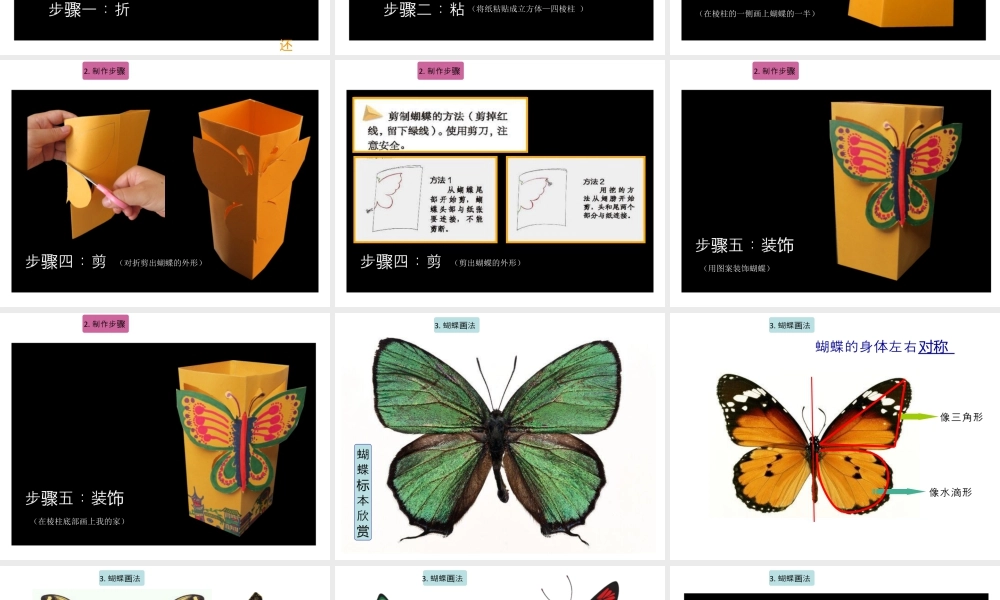 湘美版四年级美术上册-《蝴蝶落我家》精品课件.ppt