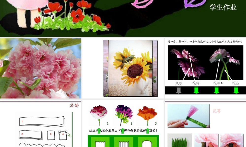 湘美版四年级美术下册-《花团锦簇》（活动一）精品课件.ppt