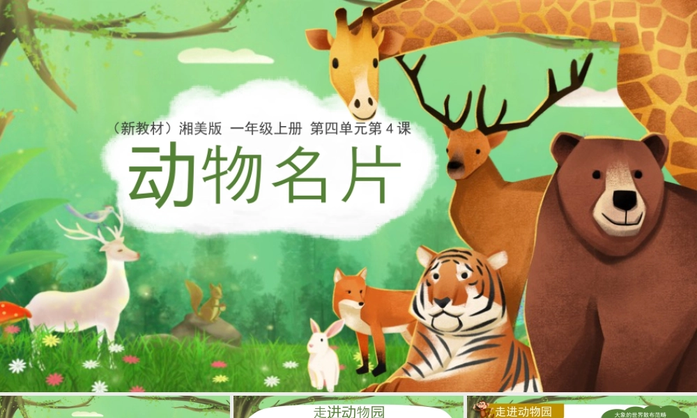 4.4 动物名片  课件（共31张PPT）2024-2025学年湘美版一年级美术上册.pptx