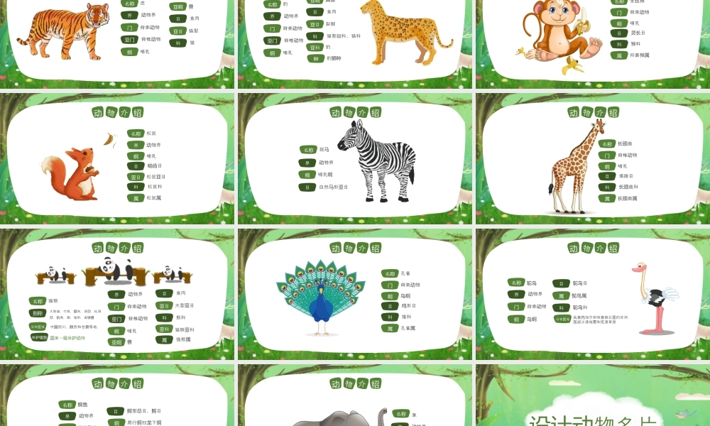 4.4 动物名片  课件（共31张PPT）2024-2025学年湘美版一年级美术上册.pptx