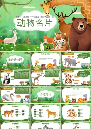 4.4 动物名片  课件（共31张PPT）2024-2025学年湘美版一年级美术上册.pptx