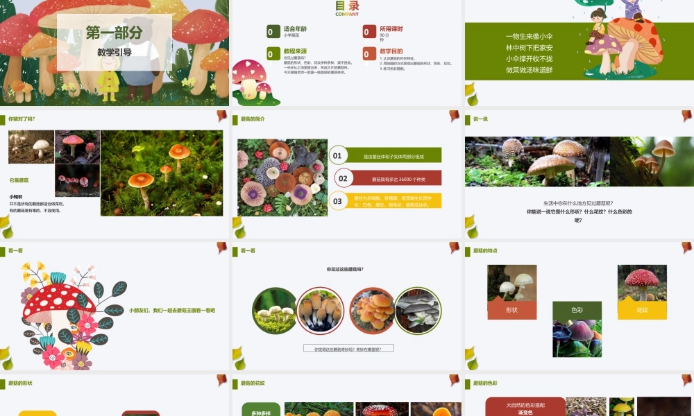 湘美版小学美术六年级下册-《蘑菇林》创意课件.pptx