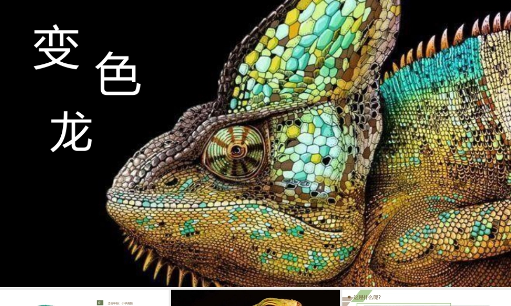 湘美版小学美术六年级下册-《蜥蜴》创意课件.pptx