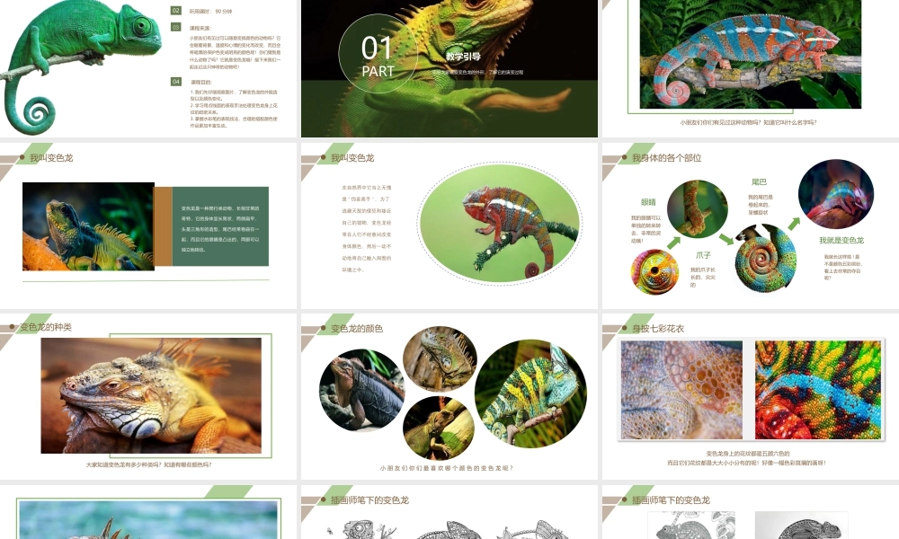 湘美版小学美术六年级下册-《蜥蜴》创意课件.pptx