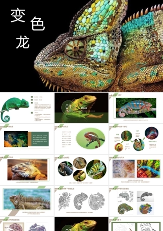 湘美版小学美术六年级下册-《蜥蜴》创意课件.pptx