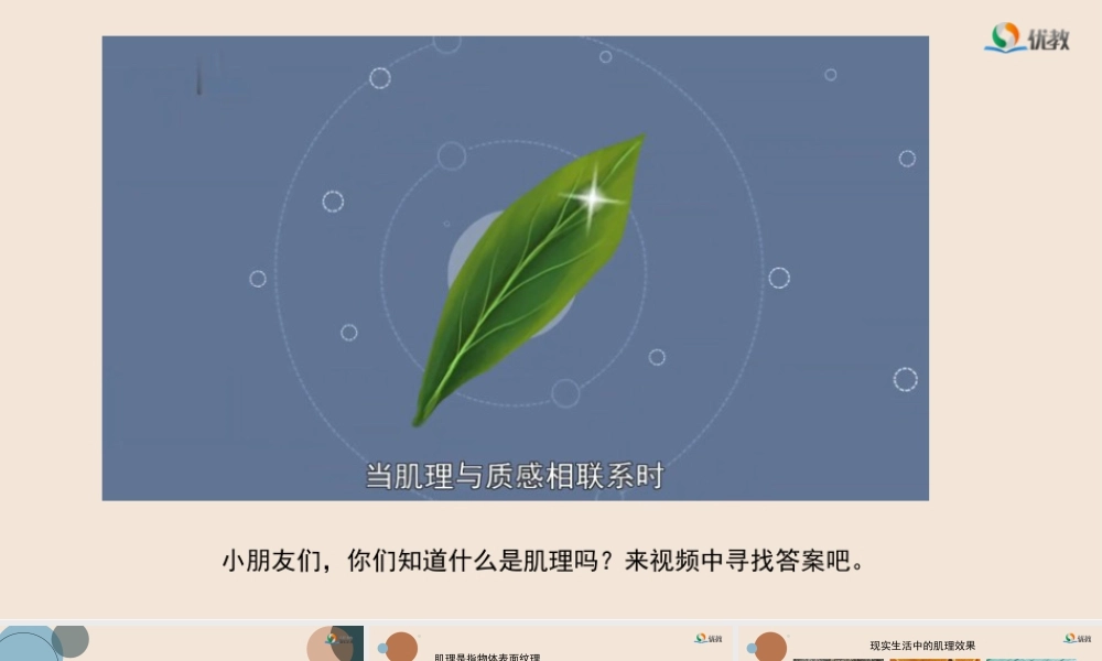 湘美版小学美术六年级下册-《巧用肌理》精品课件新.pptx