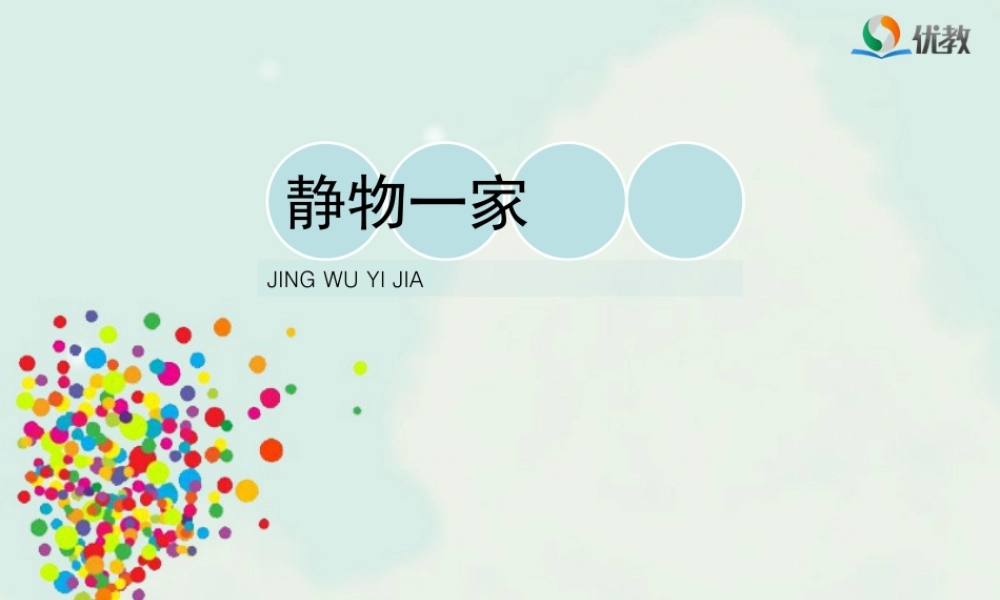 湘美版四年级美术下册-《静物一家》教学课件.ppt