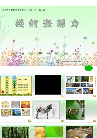 湘教小学美术三上《第5谋线的表现力》PPT课件.ppt