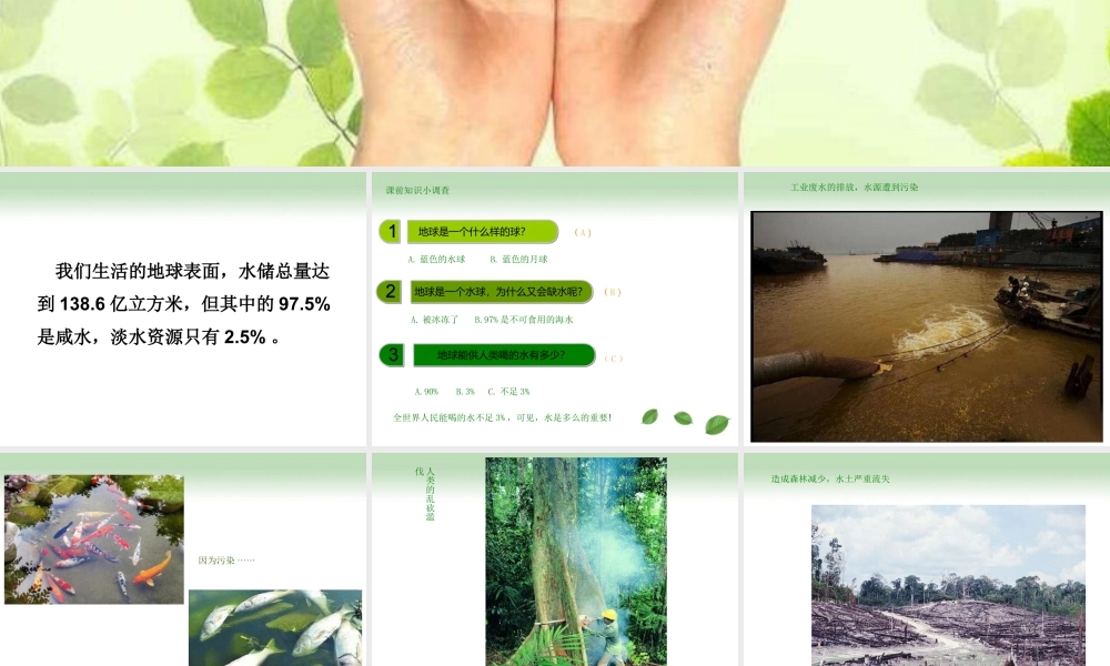 湘美版小学美术六年级上-《生命的甘露》精品课件.ppt