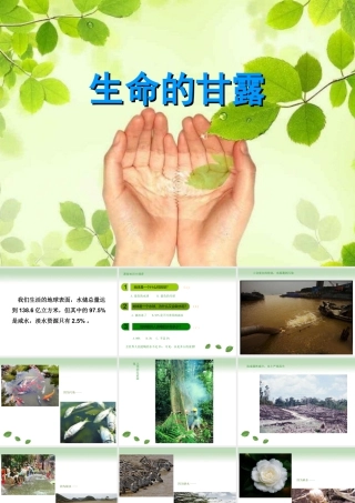 湘美版小学美术六年级上-《生命的甘露》精品课件.ppt