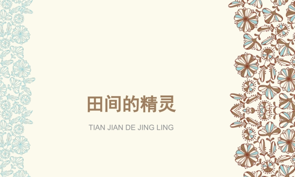 湘美版小学美术六年级上-《田间的精灵》参考课件.ppt