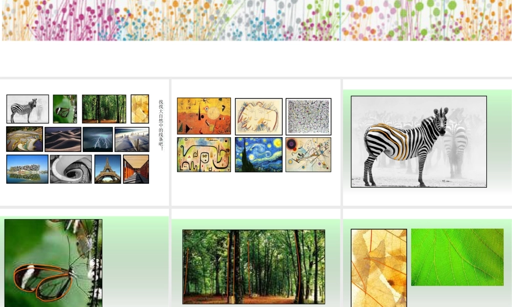 《线的表现力》精品课件.ppt