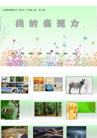 《线的表现力》精品课件.ppt