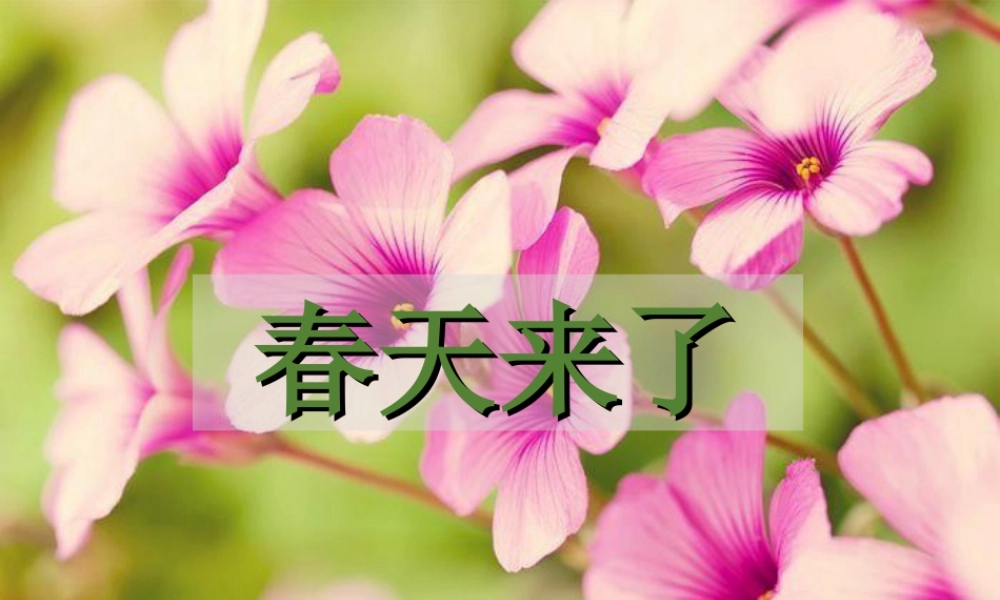 湘美版四年级美术下册-《春天来了》精品课件.ppt