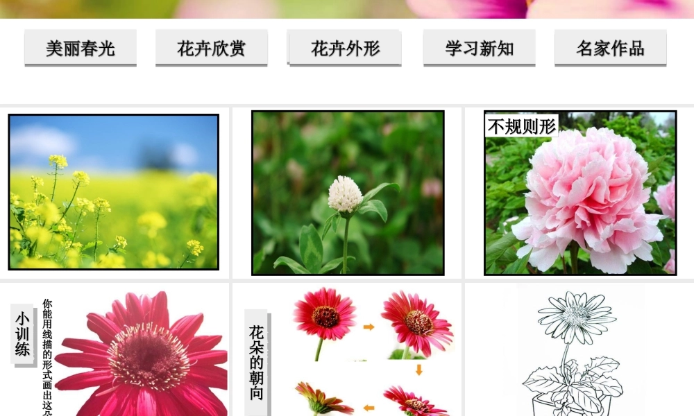 湘美版四年级美术下册-《春天来了》精品课件.ppt