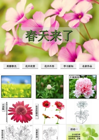 湘美版四年级美术下册-《春天来了》精品课件.ppt