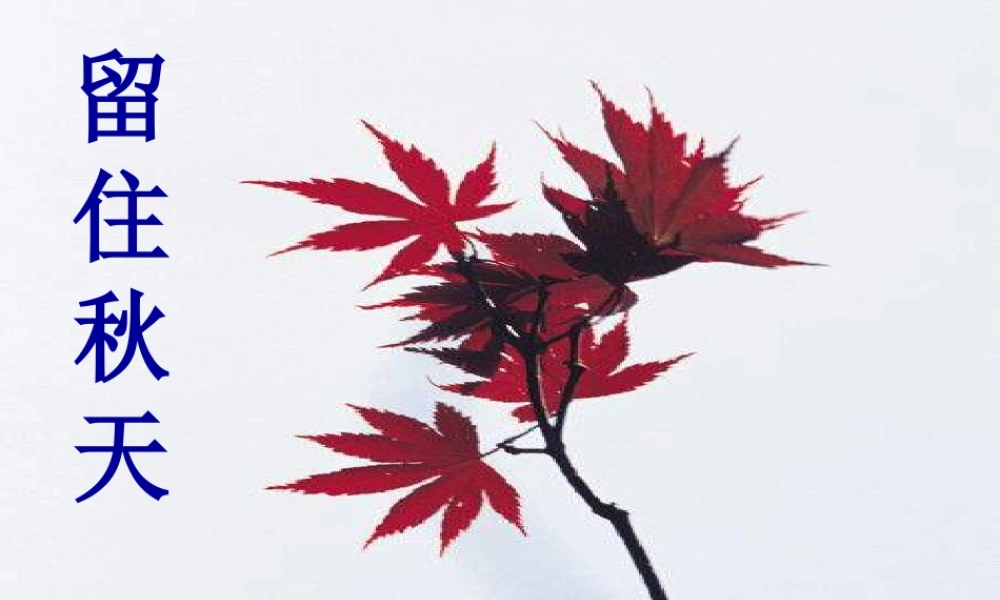 湘教小学美术三上《第11课留住秋天》PPT课件 (1).ppt