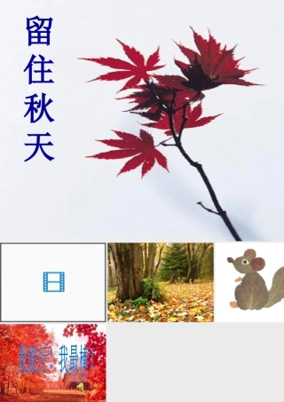 湘教小学美术三上《第11课留住秋天》PPT课件 (1).ppt