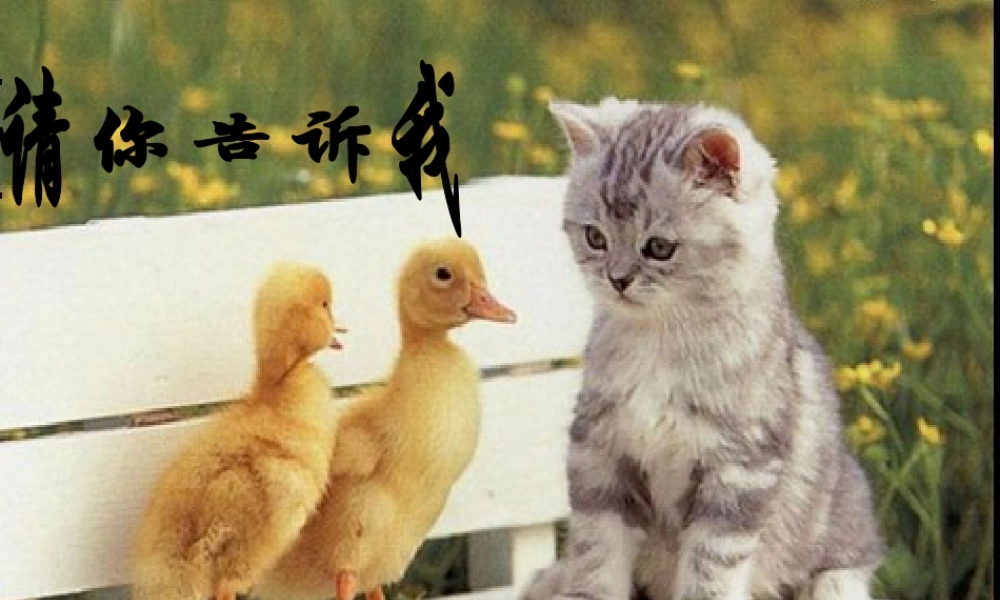 美术二年级上湘教版18请你告诉我课件.ppt