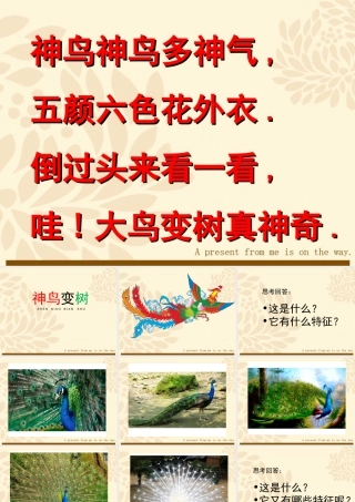 湘美版小学美术二年级上-《神鸟变树》参考课件__.ppt