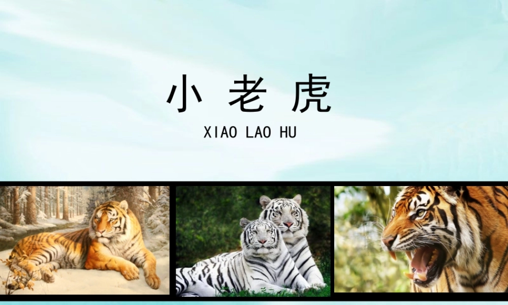 湘美版小学美术二下-《小老虎》参考课件.ppt