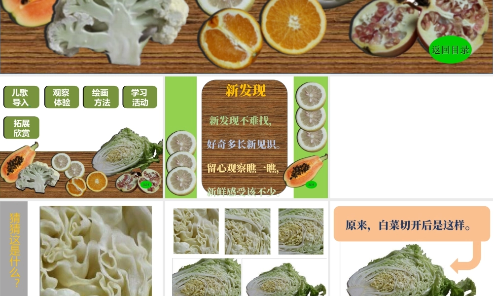 湘教小学美术三上《第6课新发现》PPT课件.ppt