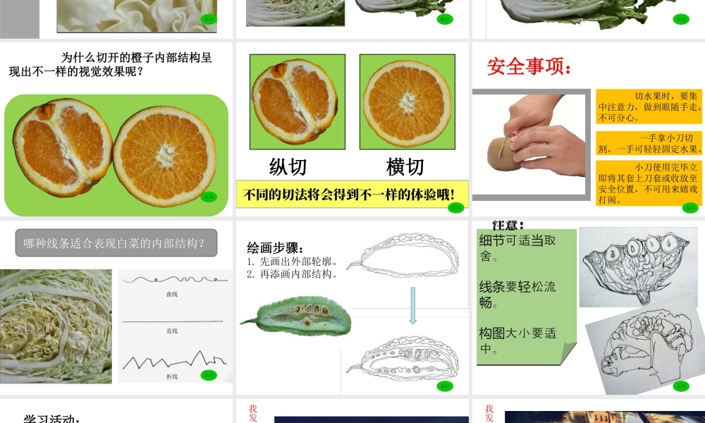 湘教小学美术三上《第6课新发现》PPT课件.ppt