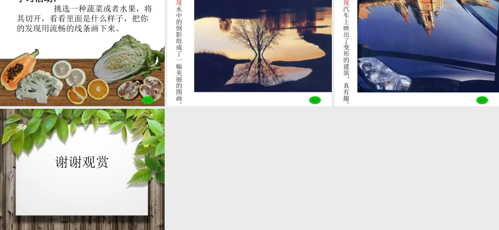 湘教小学美术三上《第6课新发现》PPT课件.ppt