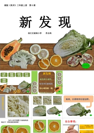 湘教小学美术三上《第6课新发现》PPT课件.ppt
