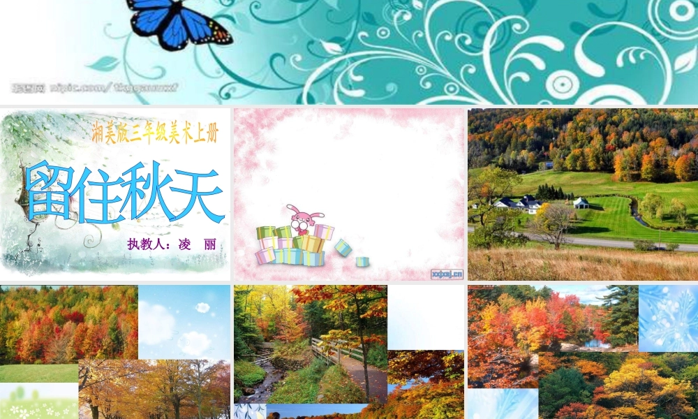 湘教小学美术三上《第11课留住秋天》PPT课件 (2).ppt