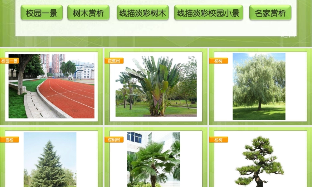 湘美版四年级美术下册-《我爱校园》精品课件.ppt