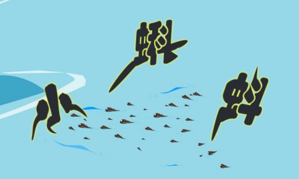 湘美版小学美术二年级上-《小蝌蚪》参考课件.ppt