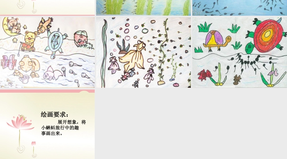 湘美版小学美术二年级上-《小蝌蚪》参考课件.ppt
