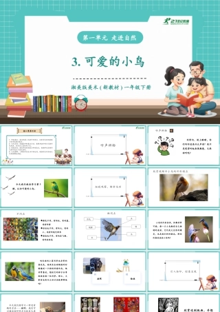 【核心素养目标】湘美版小学美术一年级下册第3课《可爱的小鸟》授课PPT课件.pptx